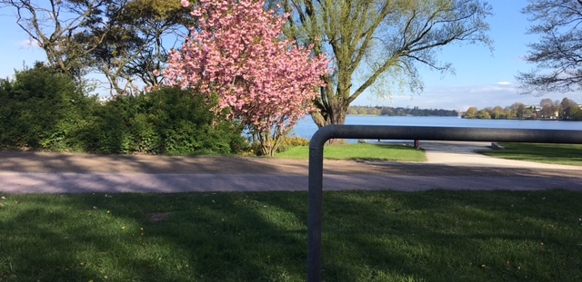 Frühling mit Escort Hamburg